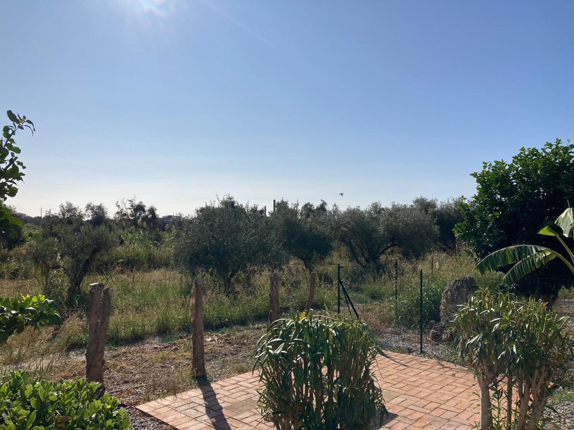 Apartment F24 Stignano Favaco Focà Buitenkant foto